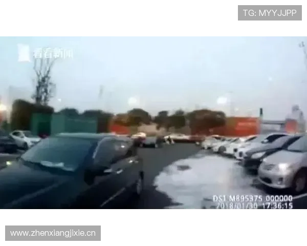 武汉场演出失误伴舞摔倒引热议 网友调侃一抱还一报互动引发关注 武汉场演出失误伴舞摔倒引热议 网友调侃一抱还一报互动引发关注