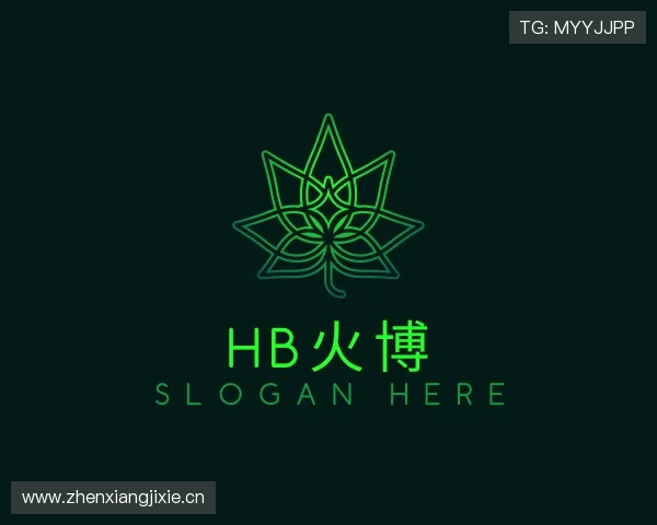 知道HB火博官网